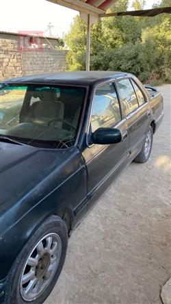 کیا پۆتێنشیا